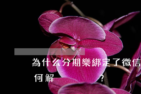 為什么分期樂綁定了微信用不了？如何解決？